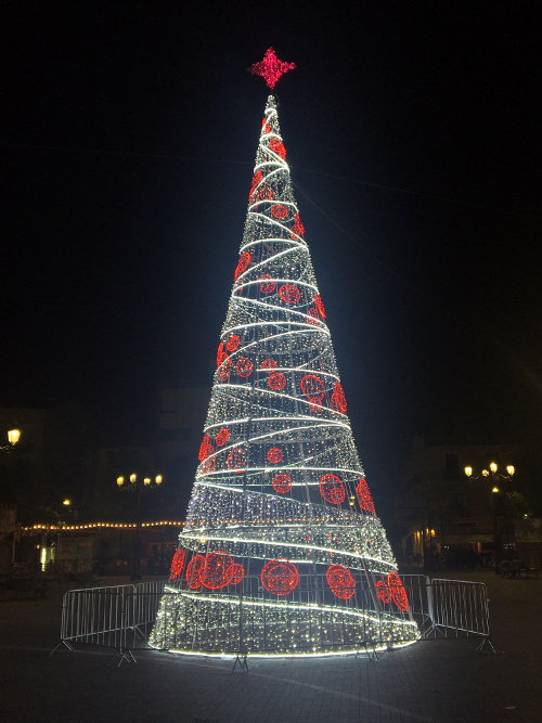 Arbre Gandia